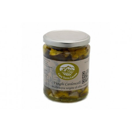 funghi cardoncelli in olio evo 270 gr